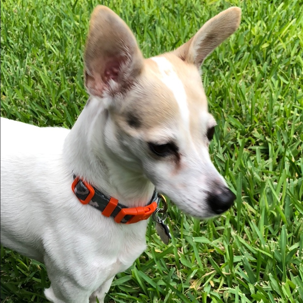 Meet your Posher, Selina